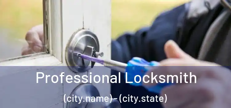 Professional Locksmith (city.name) - (city.state)